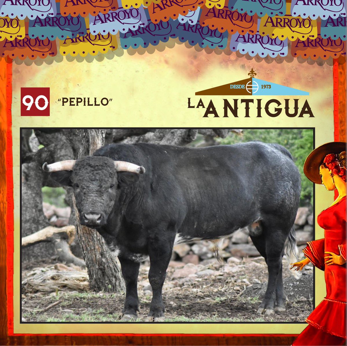 La Antigua, Los Cues, De Haro y José Arroyo, los cuatro hierros con los que habrá de enfrentarse Emiliano Osornio este viernes.