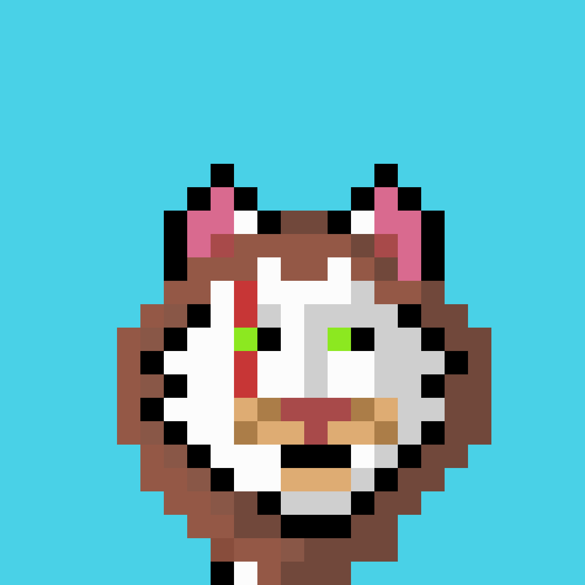 Alpha Lions Gang tweet media