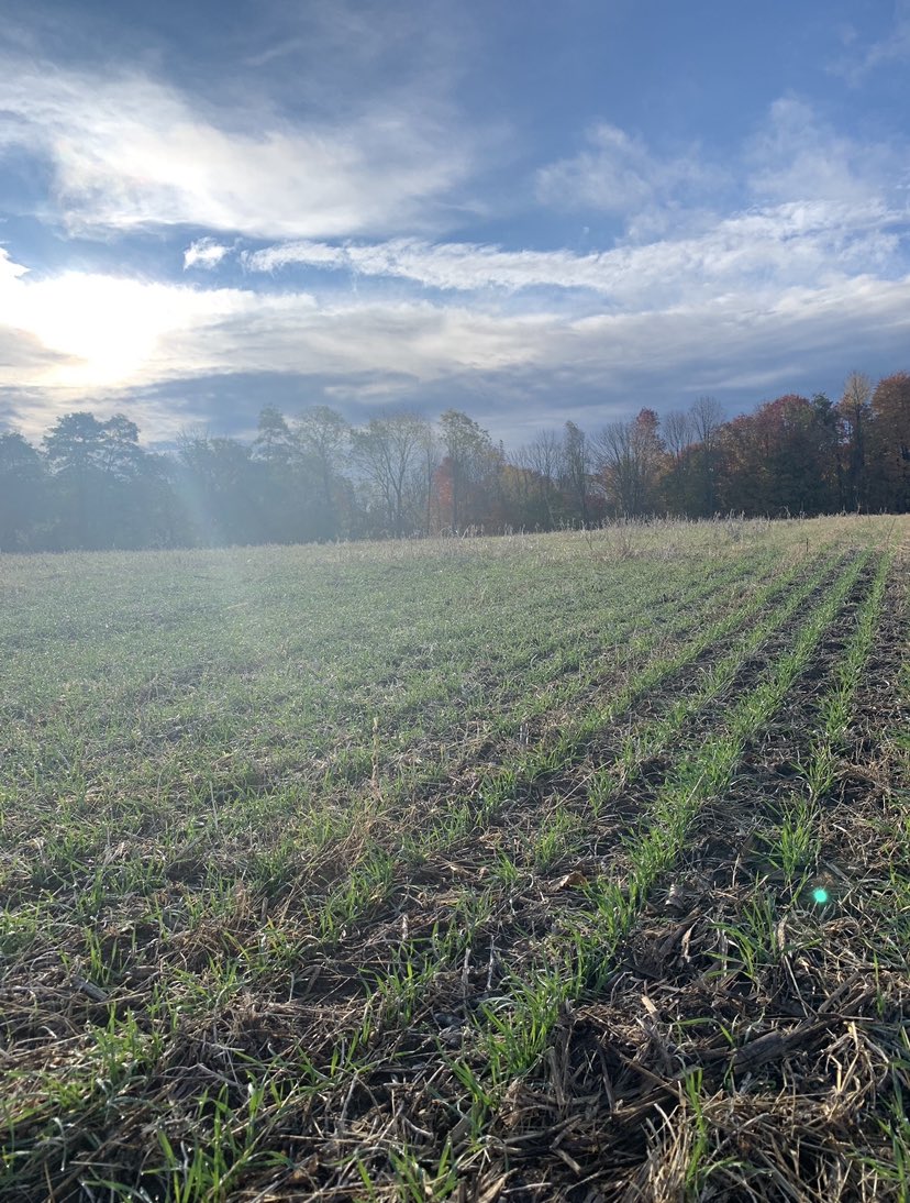 johanna lindeboom, CCA-ON tweet media