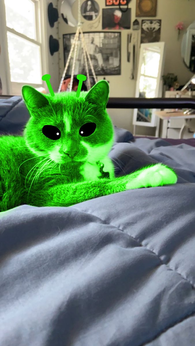 zeep glorp? gleeb zeeble gnarp gnarp