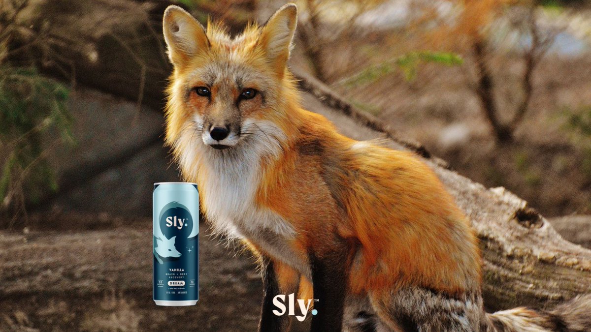 Use #SlyInTheWild to share your Sly moments and become a part of our vibrant community. Every sip is an opportunity for greatness. Let's make memories together!

#DrinkOnTheSly #OpenFunOpenPlayOpenSly #SlyTrio #AdventureAwaits #SipAndShare #CommunityConnections #DrinkWithFriends