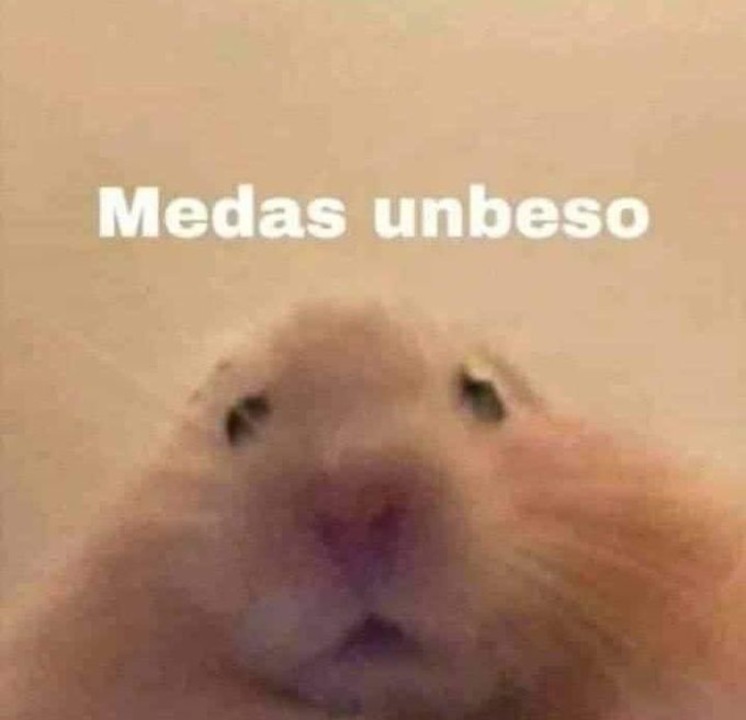 Me encanta ser amada y mimada literalmente soy esto https://t.co/NAjYaHKFm3