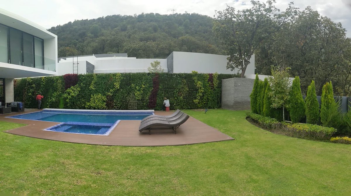 All Green tweet media