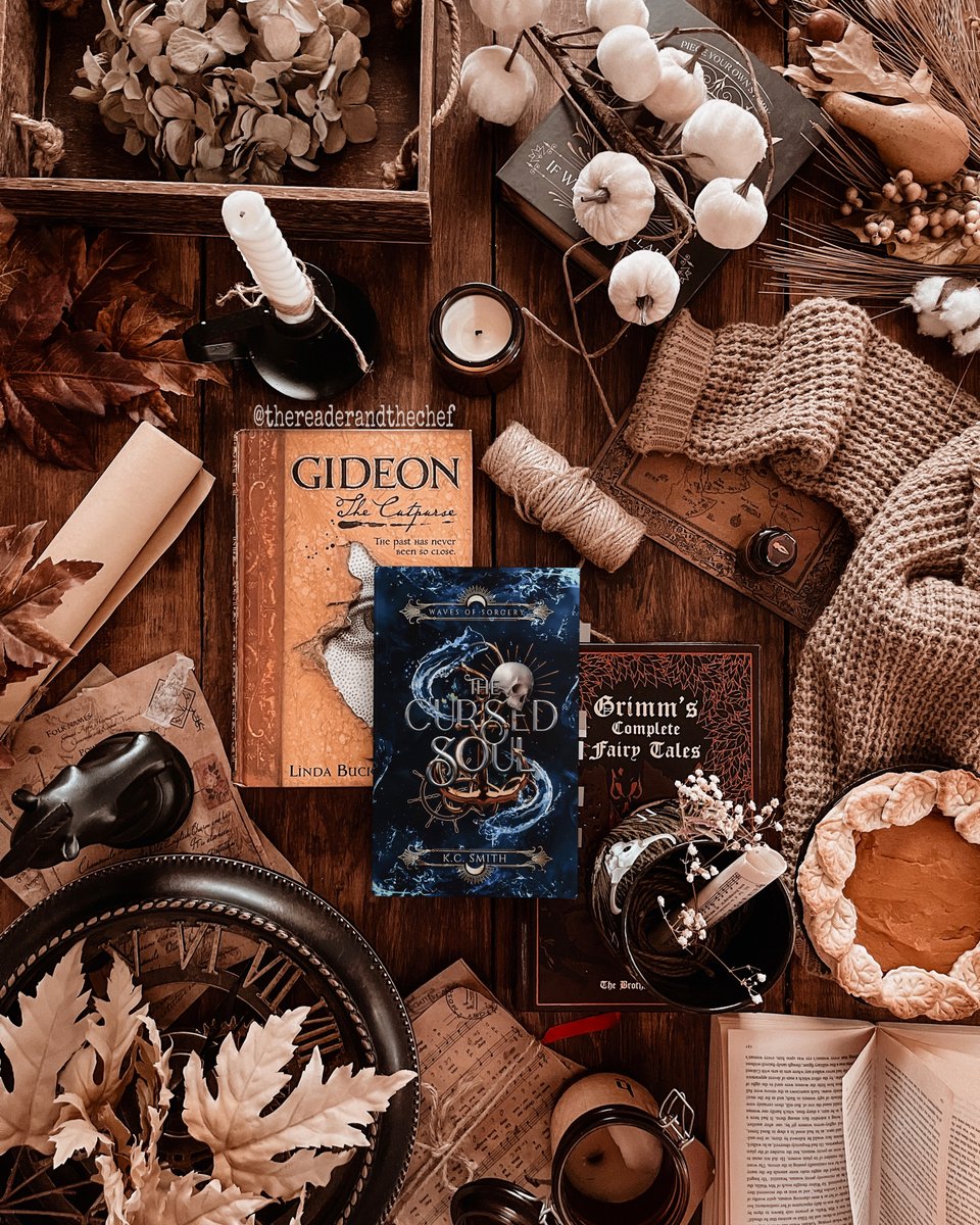mtmctours's tweet photo. Obsessed with this stop &amp; review from 📸@/thereaderandthechef for our Bookstagram &amp; Creative Tour of The Cursed Soul by K.C. Smith!! 🏴‍☠️⚔️🌊 "I will be eternally in love with this trope and A Cursed Soul had it all: from a great crew to elemental magic &amp; lots of sea adventures." https://t.co/uL93zD2sDm