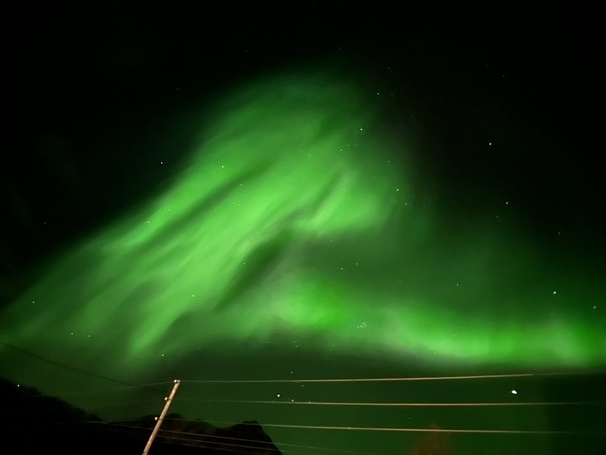 GeirRisa's tweet photo. Hadde besøk av dette i natt 🥰 https://t.co/FeiFSu825b
