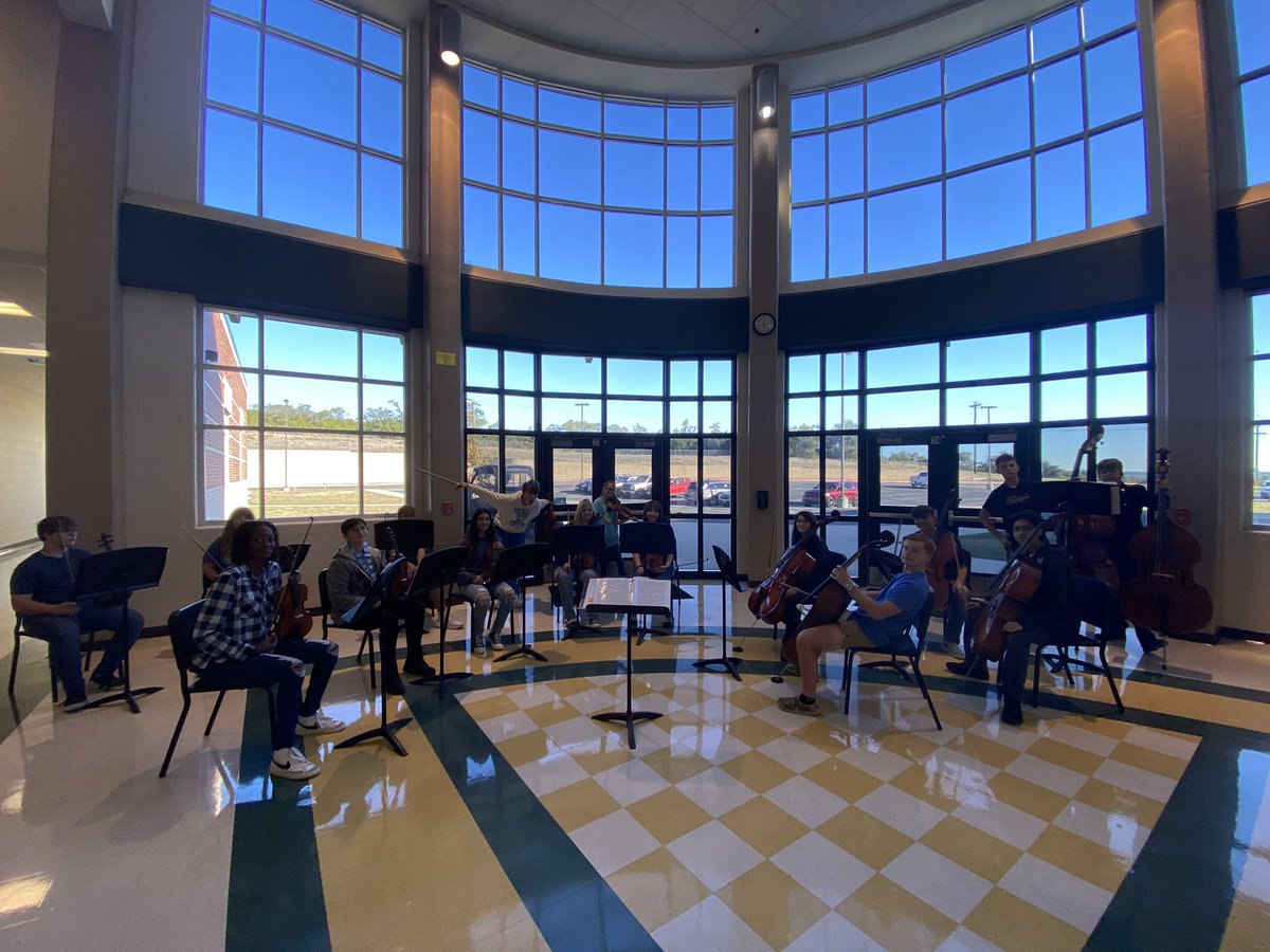 Hawk Orchestra tweet media