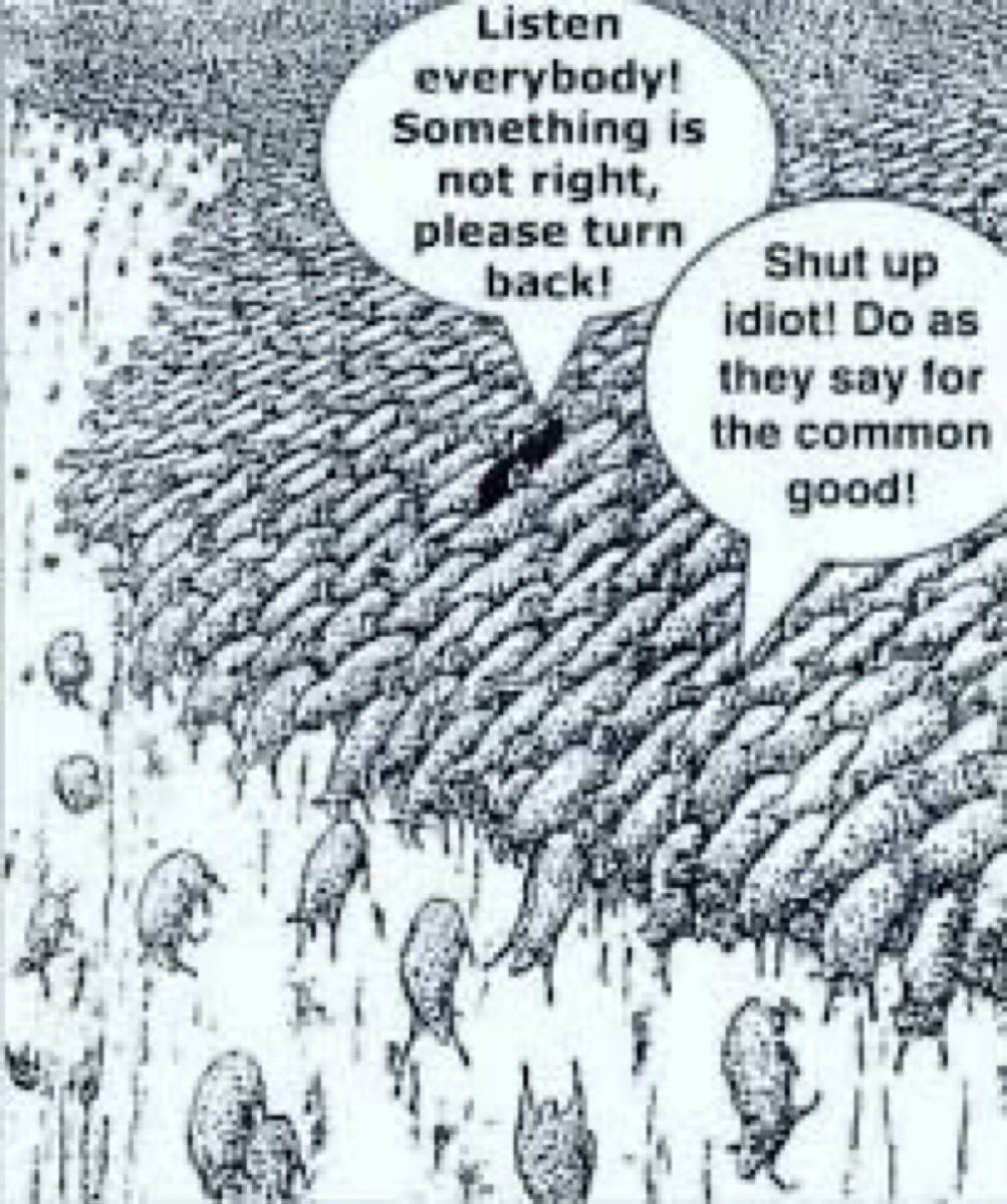 ElonMuskAOC's tweet photo. At times, following the pack isn’t always a good thing… https://t.co/aZHoOSCrm1