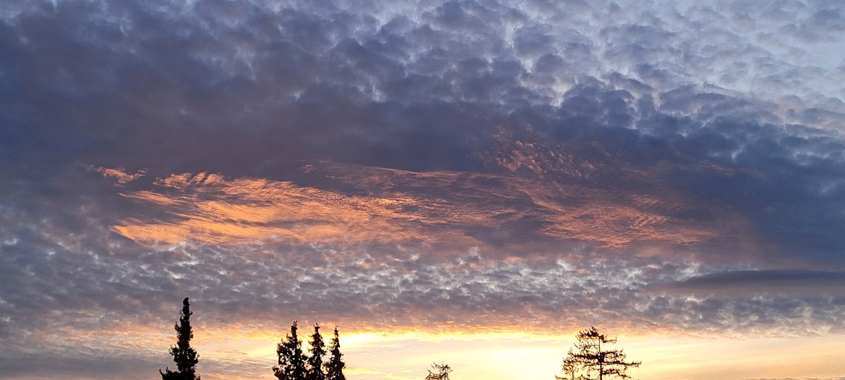 AndSoCanU's tweet photo. Best part of my day, remider that beauty is all around us. https://t.co/HAuxNLtMjt