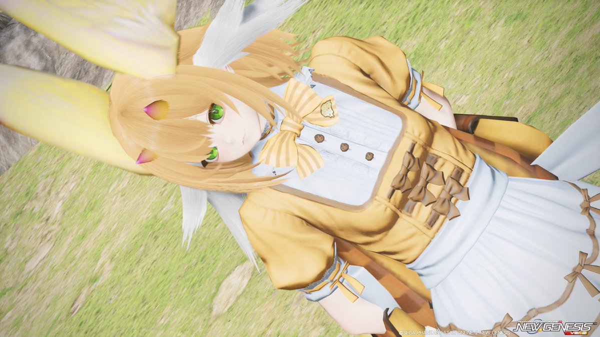 Sany_PSO2's tweet photo. 旅商人サニィと愉快な仲間たち!🐇🦉🦭🦌 https://t.co/dfmF7qfo9l