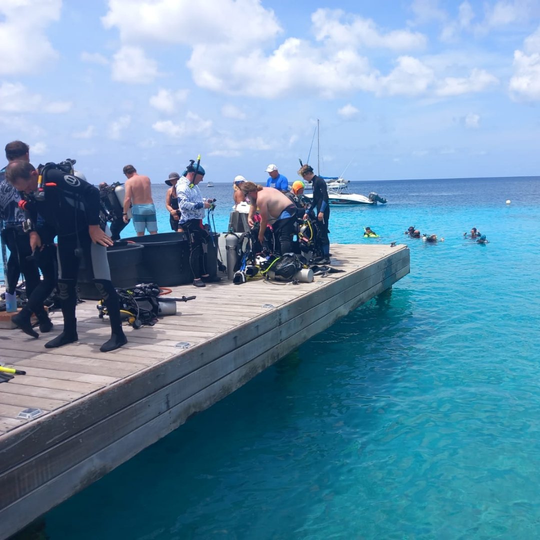 Throwback to our unforgettable Bonaire dive adventure! 🐠⚓️ 

#bonaire #scubadivingtrip #adaptivediving