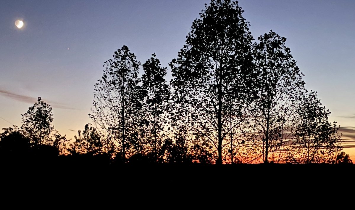 Jeff Saylor tweet media