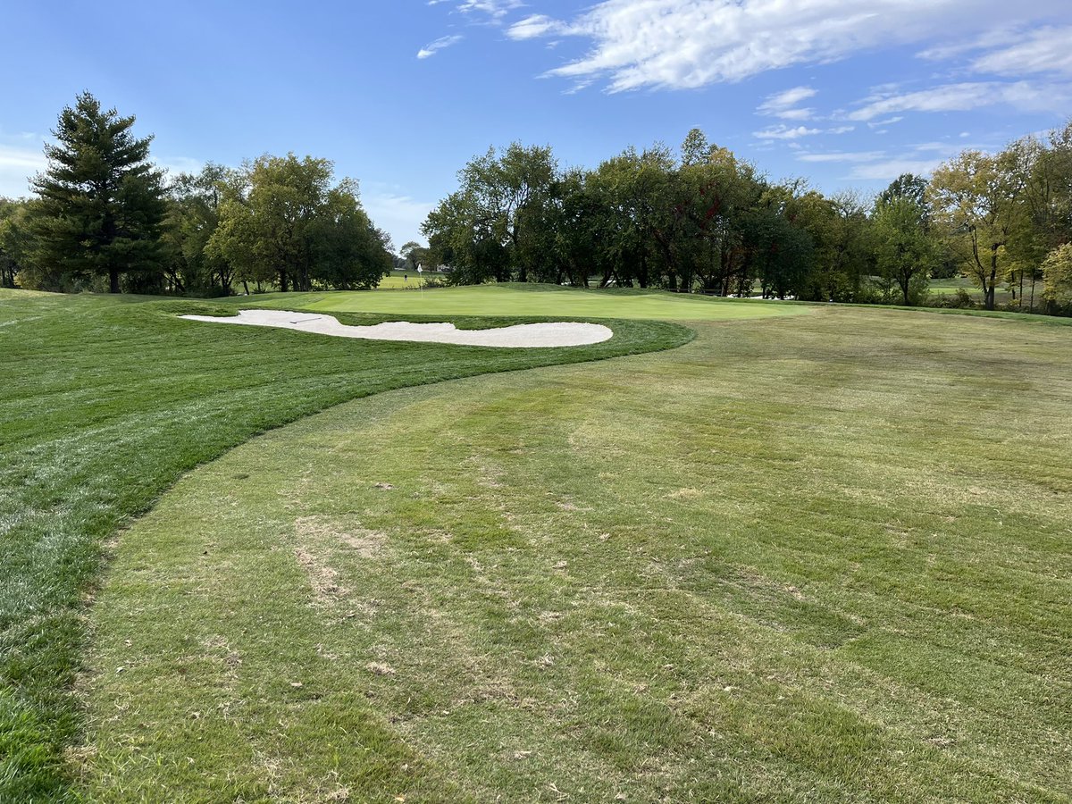 CE Golf Design tweet media