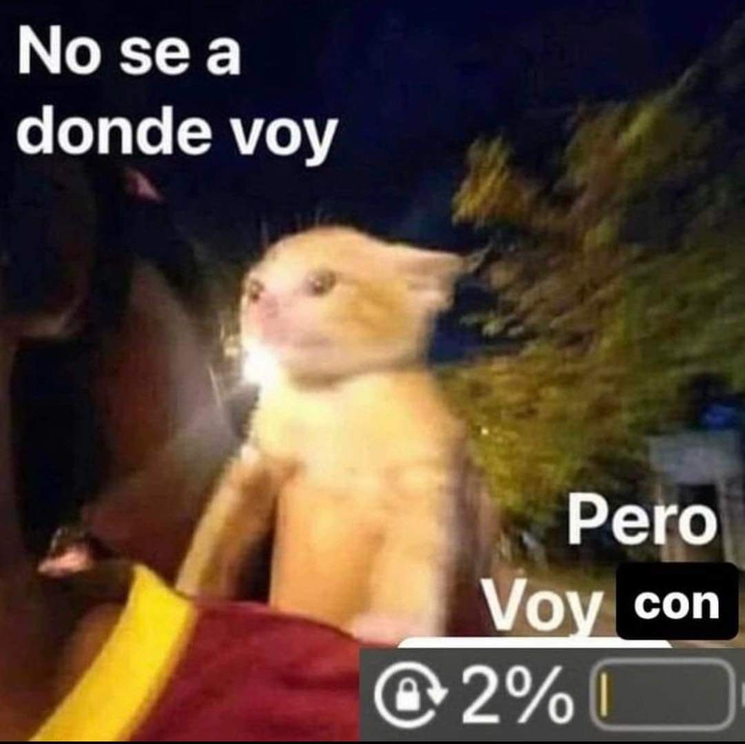 memes feos yo qué sé (@memefeos) on Twitter photo 