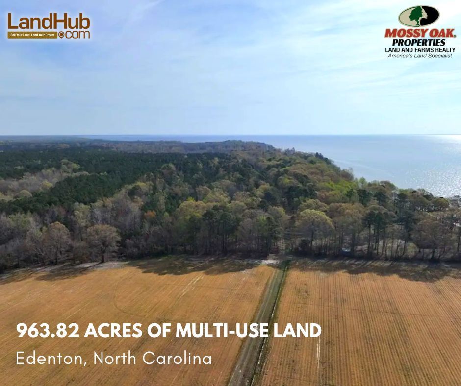 landhub's tweet image. 🌄 Spectacular 964-Acre Waterfront Property on Albemarle Sound – A Historic Gem with Endless Potential! 

#WaterfrontLand #InvestmentOpportunity #DevelopmentPotential #ShorelineProperty 
MORE INFO ✅ bit.ly/46ZaZzL