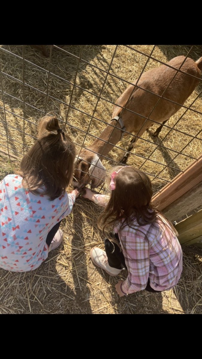 ChrissyMooney23's tweet photo. Field trip FUN! 🎃🍎🐐 #AdventureAwaitsBP @bp_mustangs https://t.co/8fUmtXYr7u