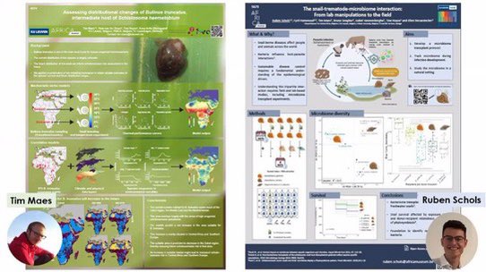 Representing the 🐌 team of @HuyseTine at the #TropMed23 conference in Chicago, USA. Watch out for our posters on snail microbiomes and distribution modelling, (19 & 21 Oct) and the talk on Citizen Science validation (22 Oct) @NoeliaVaBh