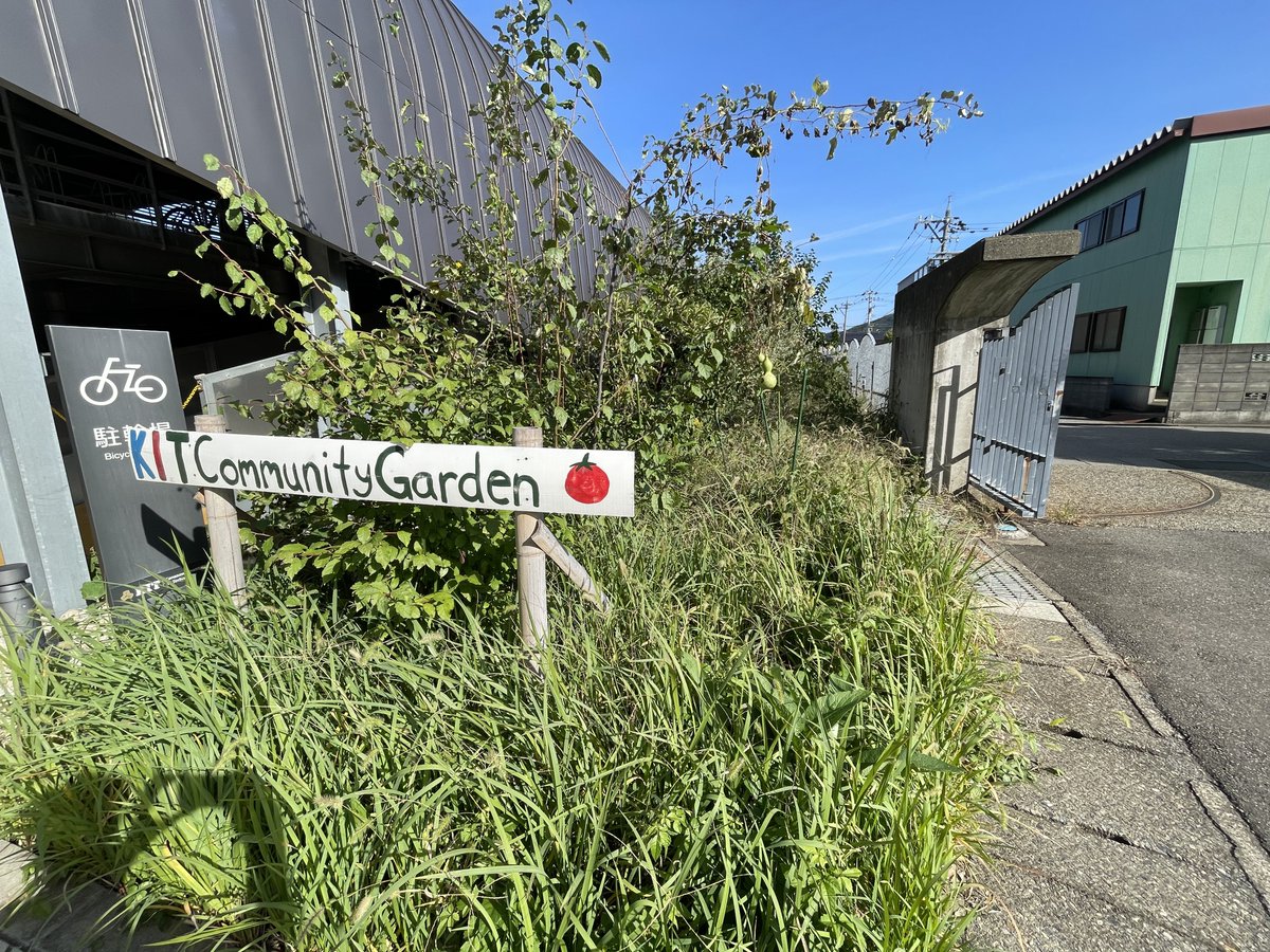 KIT Community Garden (@kit_garden) / Posts / X