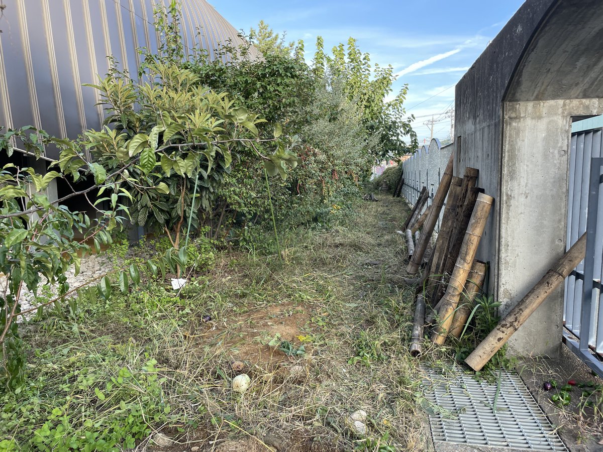 KIT Community Garden (@kit_garden) / Posts / X