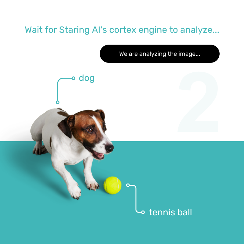 felipi_mkt's tweet photo. 🚀 Exciting news! Introducing @staringai v1 - AI-driven image recognition with 90% accuracy. Transform your post images, pictures and photos into captivating social media posts effortlessly. 📸✨

Visit https://t.co/tqZg5dkaPx and try it now for free!