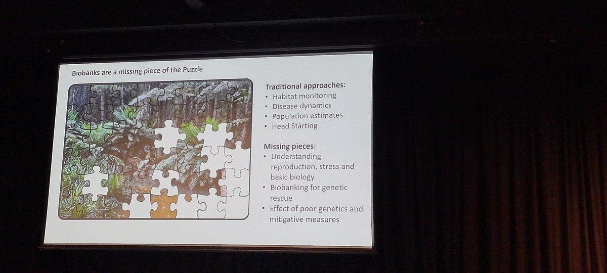 "Biobanks are a missing piece of the conservation puzzle" for frogs and other amphibians under threat from #ClimateChange 
<a href="/Rose_Upton1/">Rose Upton</a> <a href="/ConservationUon/">Conservation Science Research Group</a> presenting at #ABNA2023GoldCoast <a href="/ABNAonline/">ABNA</a>