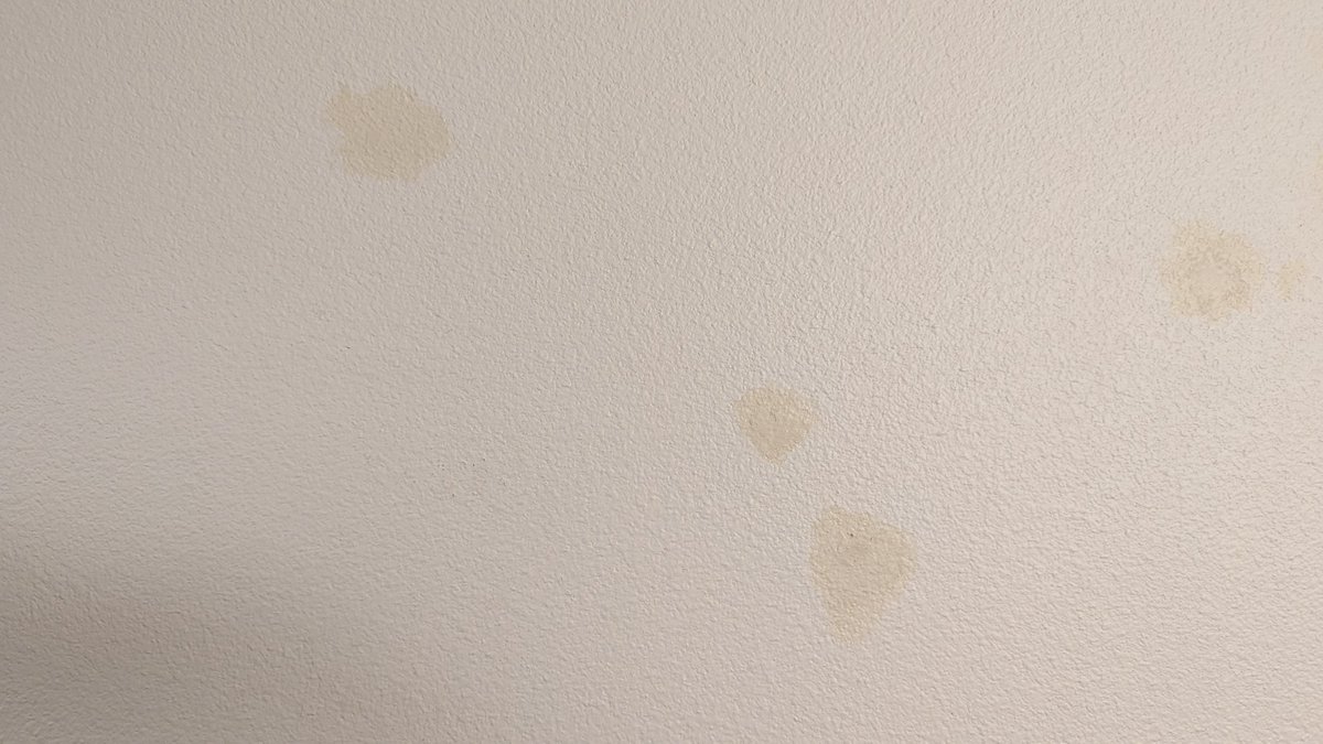 DanLDEon's tweet image. Dangit!! @#$&amp;amp;+?*!!!

#Touchups #WrongColor #Moving