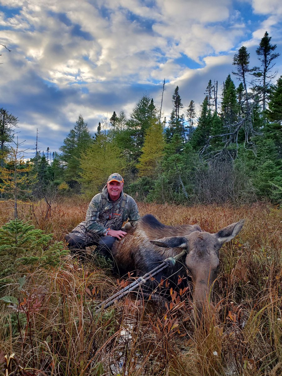 Newfoundland Moose - meat for the freezer