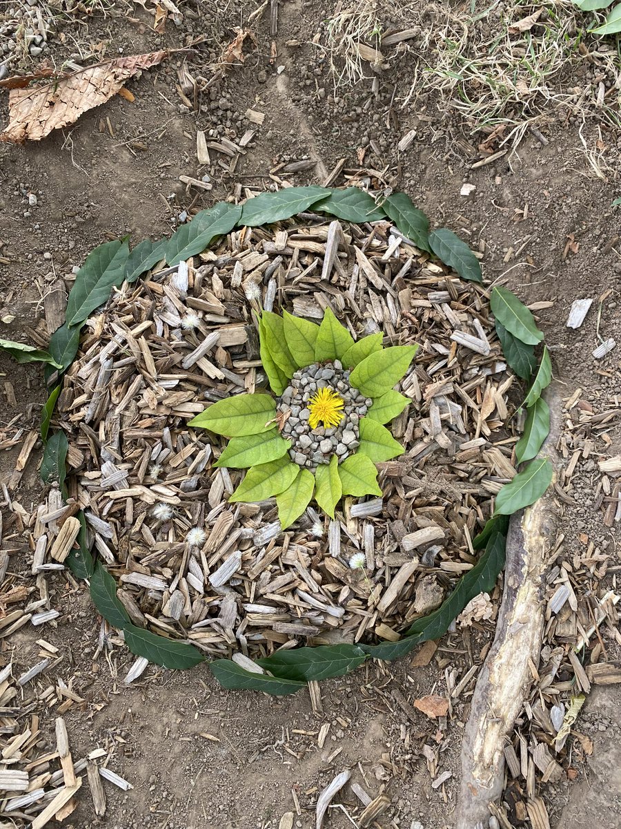 OntarioPublic's tweet photo. Nature inspired creativity today at Ontario. @dsbn #takemeoutside https://t.co/FuvIvox08q