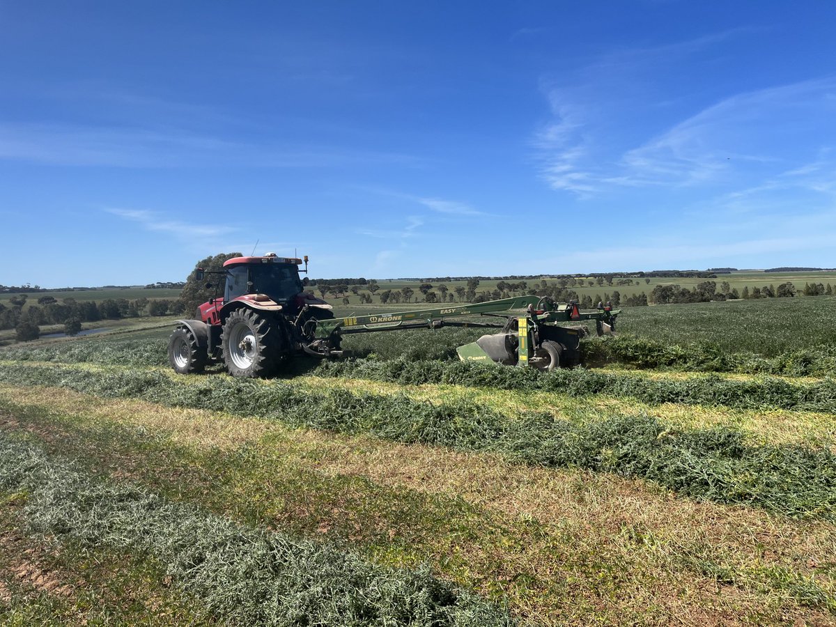 2Stacky's tweet image. Vetch out of moisture so time to come down