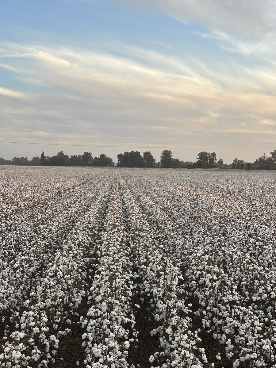 Chad Fullerton tweet media