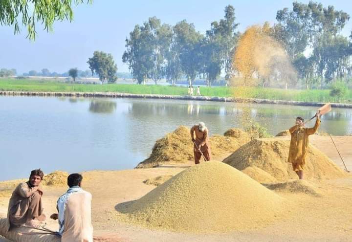 لڳي وئي لاڙ سان آ لنئون، اوھان کي ٻيو ڀلا ڇا چئون،
اسان کي عشق سارين جيئن، ڇنڊي ڦوڪي ڇڙي ٿو پيو.
❣️