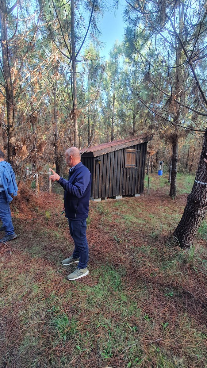 AnaEE France (@anaeefrance) on Twitter photo Visite du dispositif <a href="/INRAE_France/">INRAE</a> #Xylosylve pour l’étude des itinéraires sylvicoles dans un contexte de changement global. Le site peut accueillir des équipes externes pour des travaux sur les arbres, le sol et la biodiversité ou la biogéochimie ⬇️
anaee-france.fr/service/experi… Visite du dispositif <a href="/INRAE_France/">INRAE</a> #Xylosylve pour l’étude des itinéraires sylvicoles dans un contexte de changement global. Le site peut accueillir des équipes externes pour des travaux sur les arbres, le sol et la biodiversité ou la biogéochimie ⬇️
anaee-france.fr/service/experi…