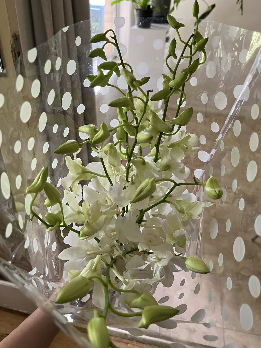 Dr Sylvia Ang 汪诗薇 tweet media