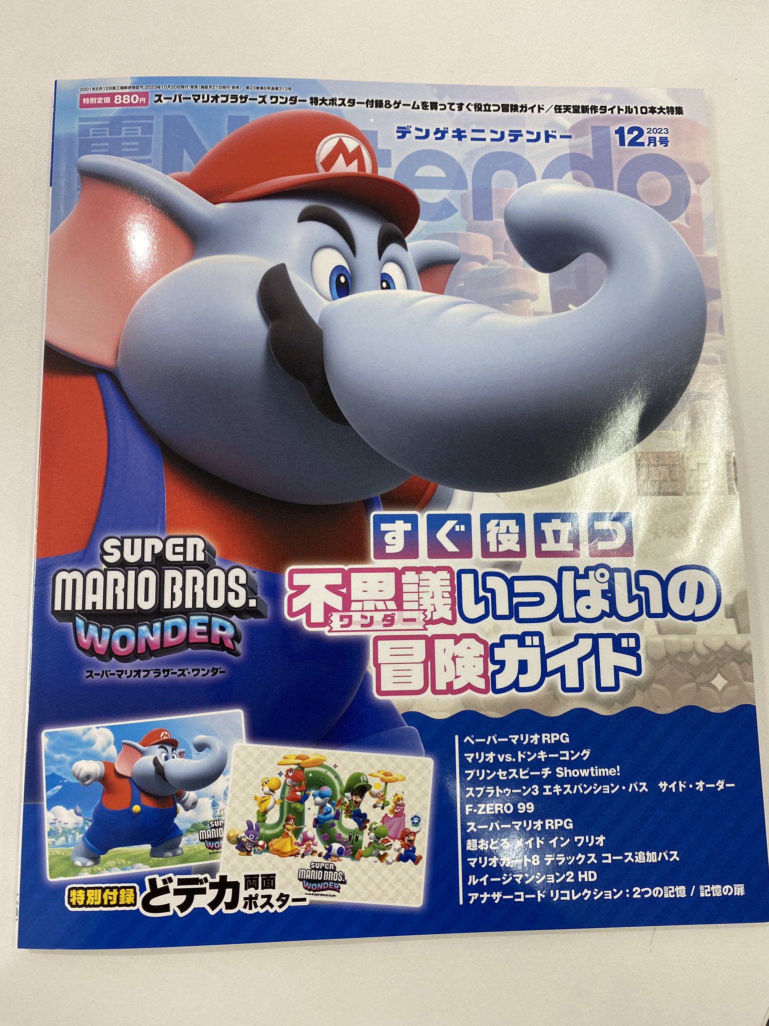 パンダの希少なメダル10月20日まで限定値下げ☆ メダカ スーパーブラックパンダめだか 未選別 稚魚SS〜Sサイズ