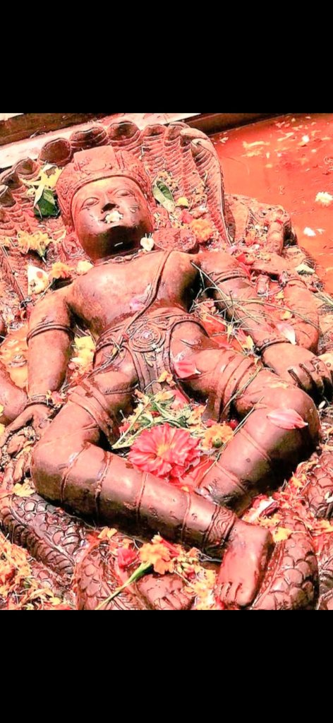 hindU_shivani❇️ tweet media