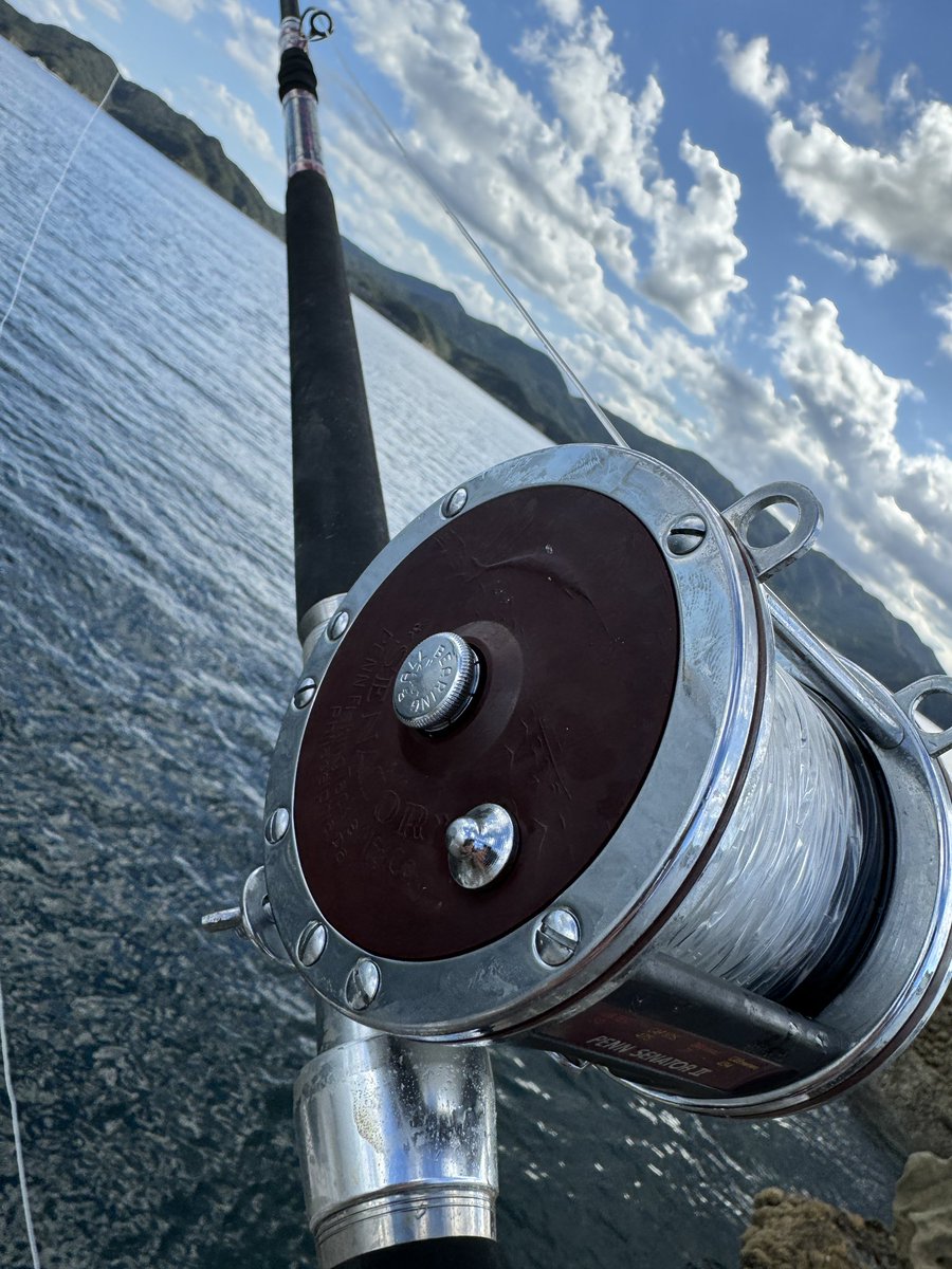 上手く買えば7万円ちょいで竿リールともに手に入るクエタックル。レ