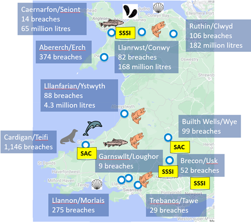 2,274 days with illegal sewage dumping at 11 Welsh STWs exposing SACs; SSSIs; fish spawning; shellfisheries; bottlenose dolphins. @BBCBreaking @BBCr4today Report here drive.google.com/file/d/1N1yIzL… @Feargal_Sharkey @WindrushWasp @DeborahMeaden3 @PaulWhitehouse @Jamie_Woodward_