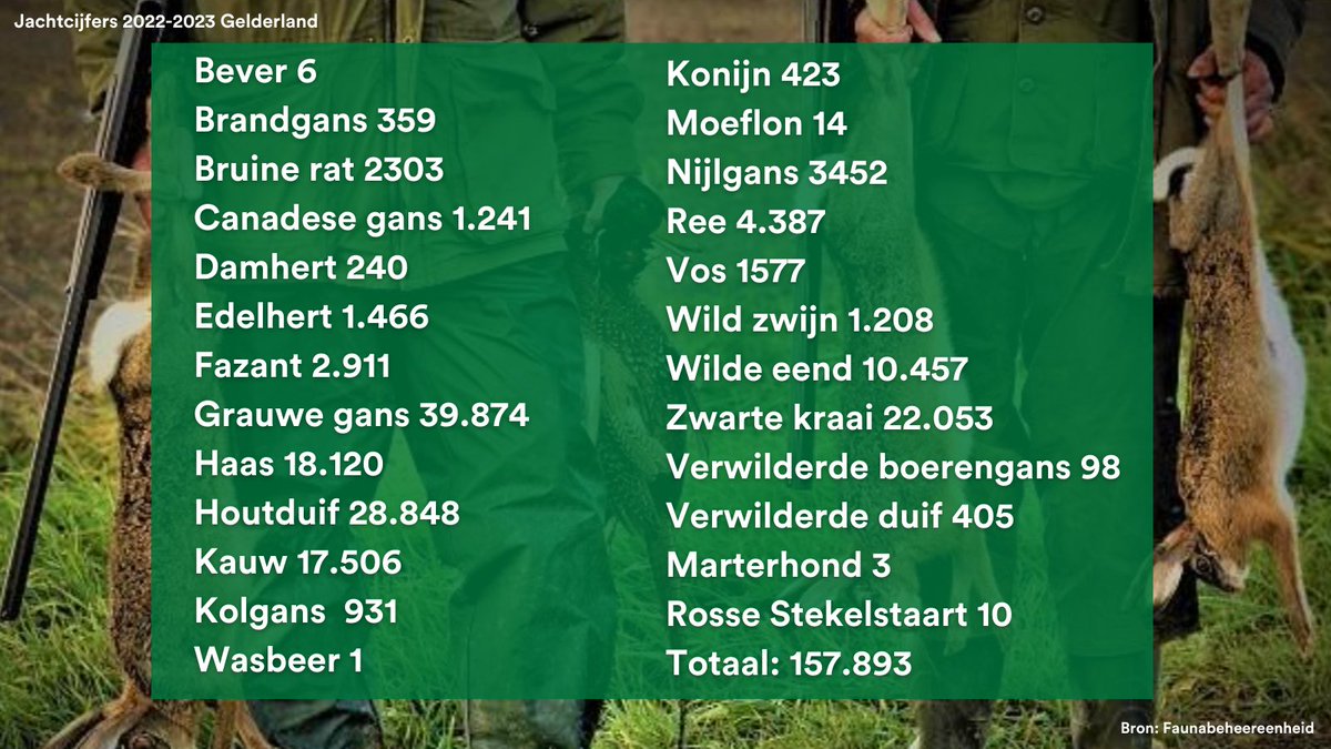 Het jachtseizoen is weer geopend. In de periode 2022-2023 zijn 157.893 wilde dieren geschoten in Gelderland. Dit betekent dat gemiddeld 433 dieren per dag werden gedood.

#stopdejacht #partijvoordedieren #keerhettij #eiseentoekomst