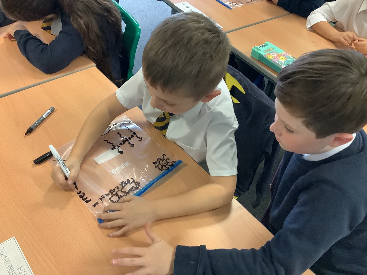4Tcps's tweet photo. We learned about the water cycle in science this week. We have drawn the stages of the cycle onto bags that we stuck onto the windows so that we can observe the water cycle happening. #croxtethscience https://t.co/yYdPgQTL7m