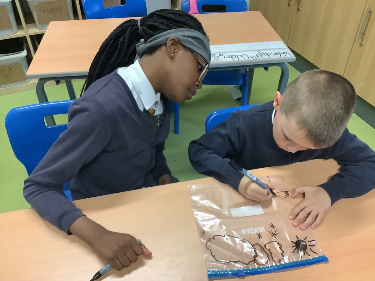 4Tcps's tweet photo. We learned about the water cycle in science this week. We have drawn the stages of the cycle onto bags that we stuck onto the windows so that we can observe the water cycle happening. #croxtethscience https://t.co/yYdPgQTL7m