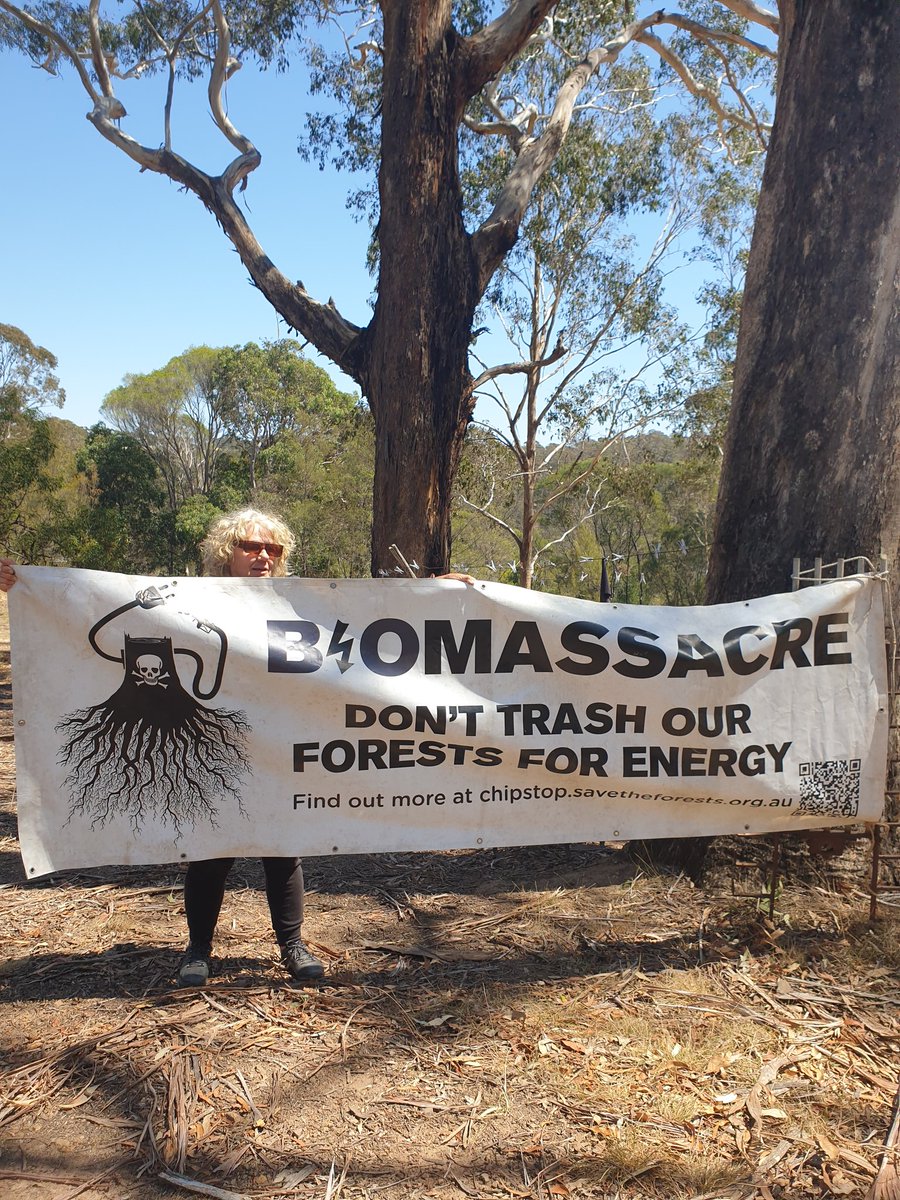 #BigBadBiomass and the sooner we end native forest logging the better.
