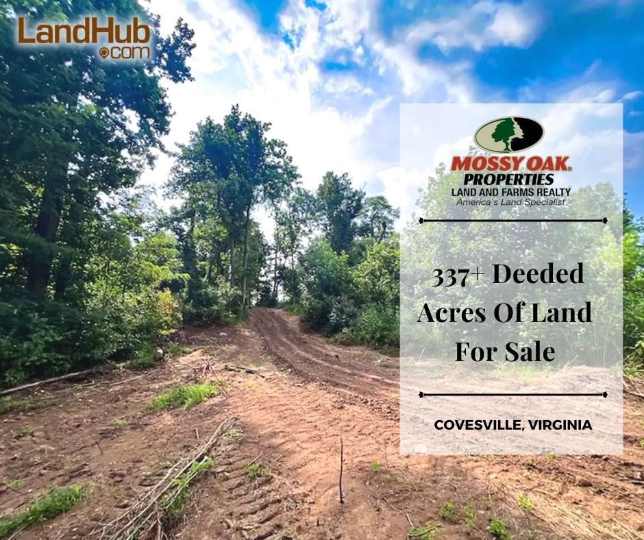 landhub's tweet photo. Rare Opportunity: 337+ Acres of Pristine Hunting and Timberland in Southern Albemarle County, #Virginia! 🔥🔥🔥
#HuntingLand #TimberInvestment #TrophyWhitetail #BlackBear
MORE INFO ✅ https://t.co/IisFjiV3qO https://t.co/aFiPhAQubu