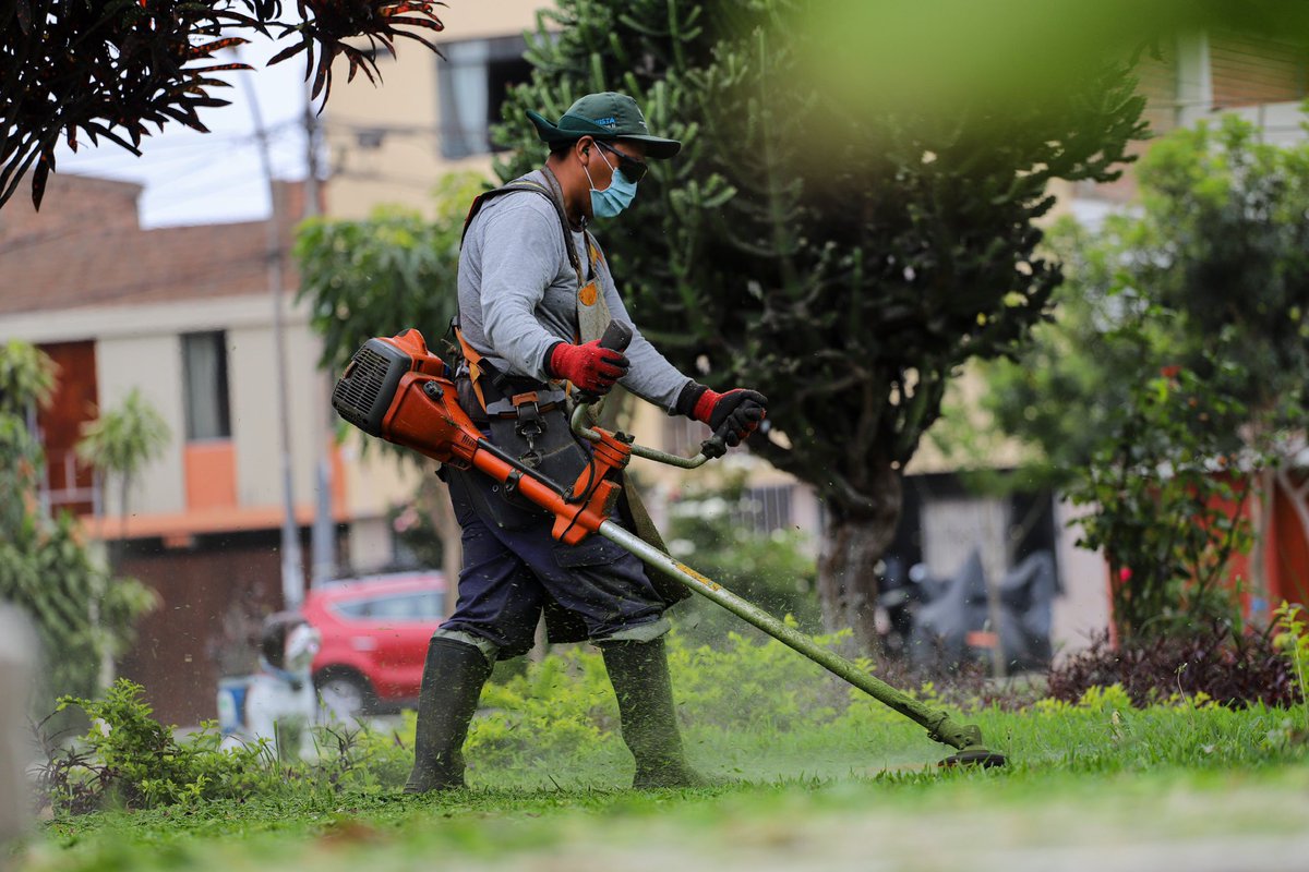 Muni_Bellavista's tweet photo. #ProgresandoContigo | Como cada día, la Municipalidad de Bellavista despliega personal de Parques y Jardines por todo el distrito para embellecer las áreas verdes. Esta vez, el equipo estuvo haciendo poda de grass en la urb. Sagrada Familia. https://t.co/iwzvy3uorr