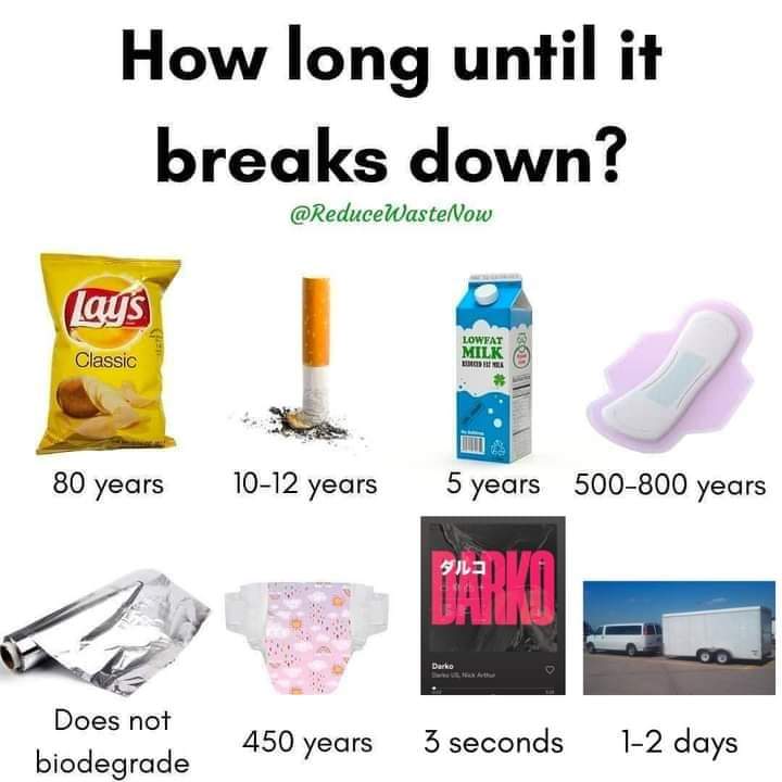 Metal Mike 🪰🌕 tweet media