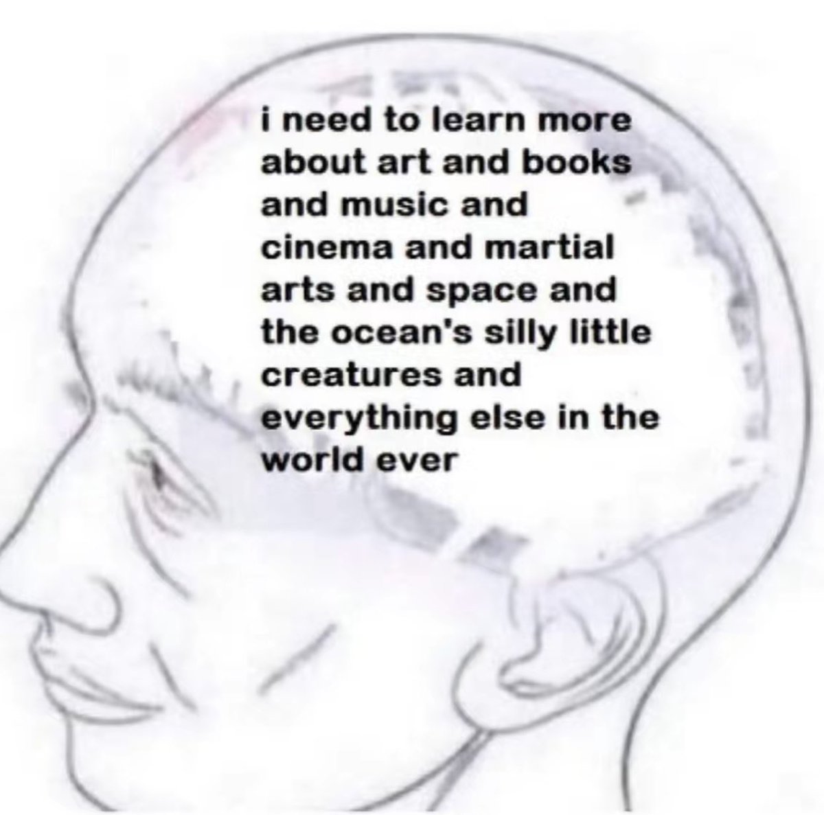 no me he sentido más identificada con algo en mi vida