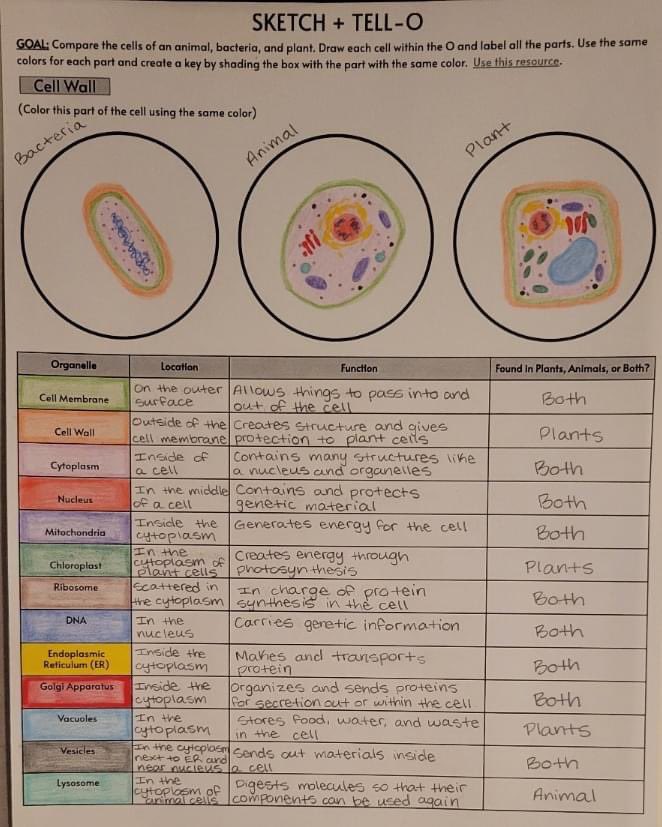 arianakhern's tweet photo. #Biology Ss did a deep dive into #CellStructures! Ss are getting into the habit of using previous work as resources; teaching them the importance of attention to detail &amp; owning their work! Day to day #Eduprotocols can replace #notebooks - saving time on planning &amp; grading! https://t.co/Z15QBkVpsK