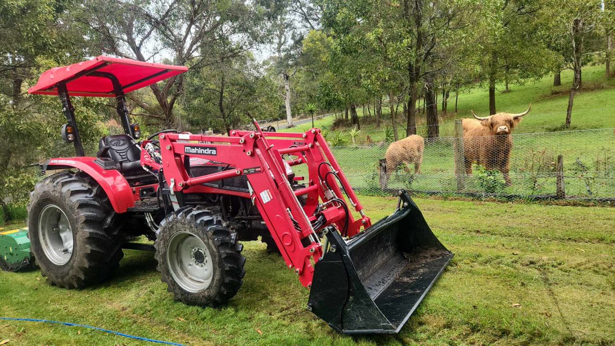 Awesome shot!📸🐮Our Ballarat Dealer's mechanic had an unexpected guest while servicing a customer's #Mahindra recently. This highland cow clearly couldn't resist striking a pose for the camera! Thanks for sharing!
#mahindraag #highlandcow #aussiefarmers