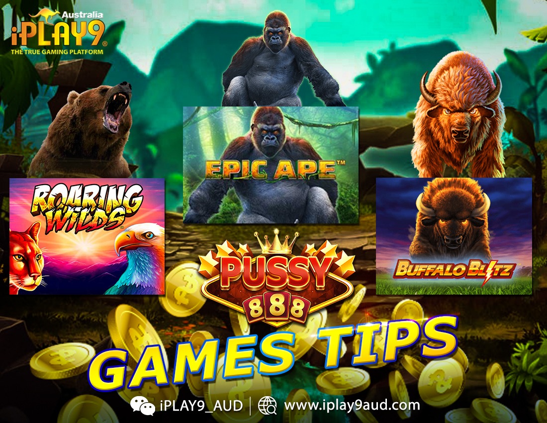 Iplay9A's tweet photo. 💥GAME TIPS - Pussy888📷 
📷Trusted  &amp; Safety Company Australia iPLAY9 Is Your Best Choice  
📷24 Hour Customer Service  📷 
📷Quick Deposit Quick Withdraw  📷https://t.co/ERTMDFXv6t 📷 https://t.co/H53c5Z1ldJ