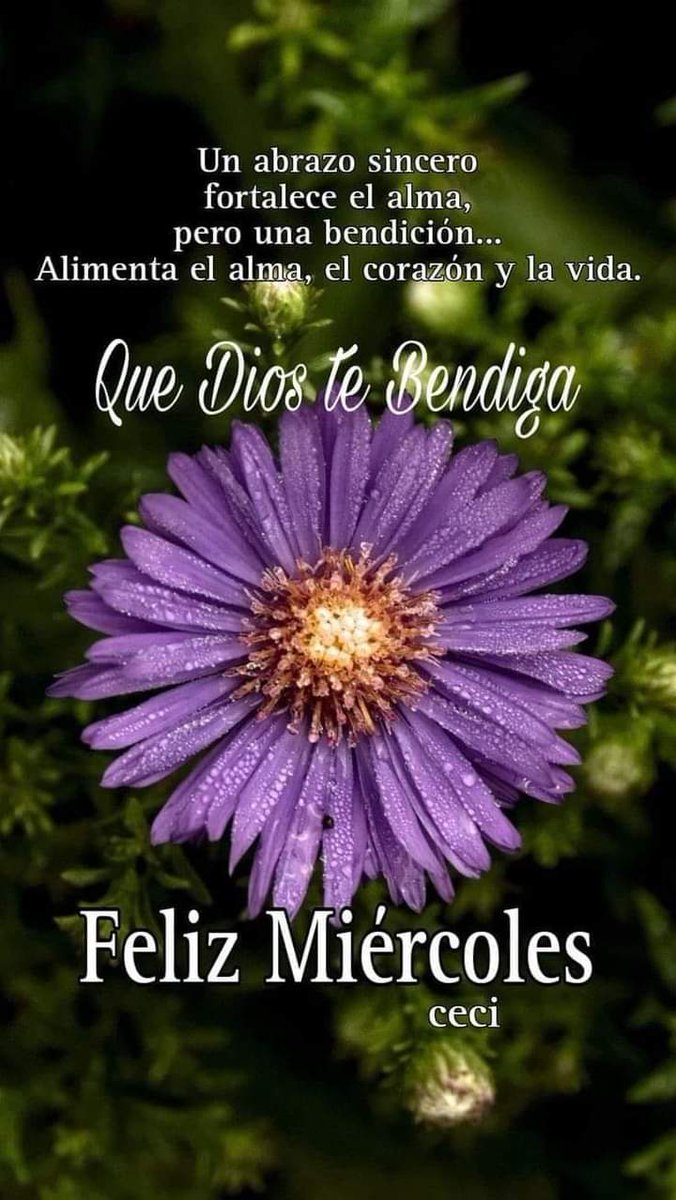 Bertha Vigi (@berthavigi) on Twitter photo 