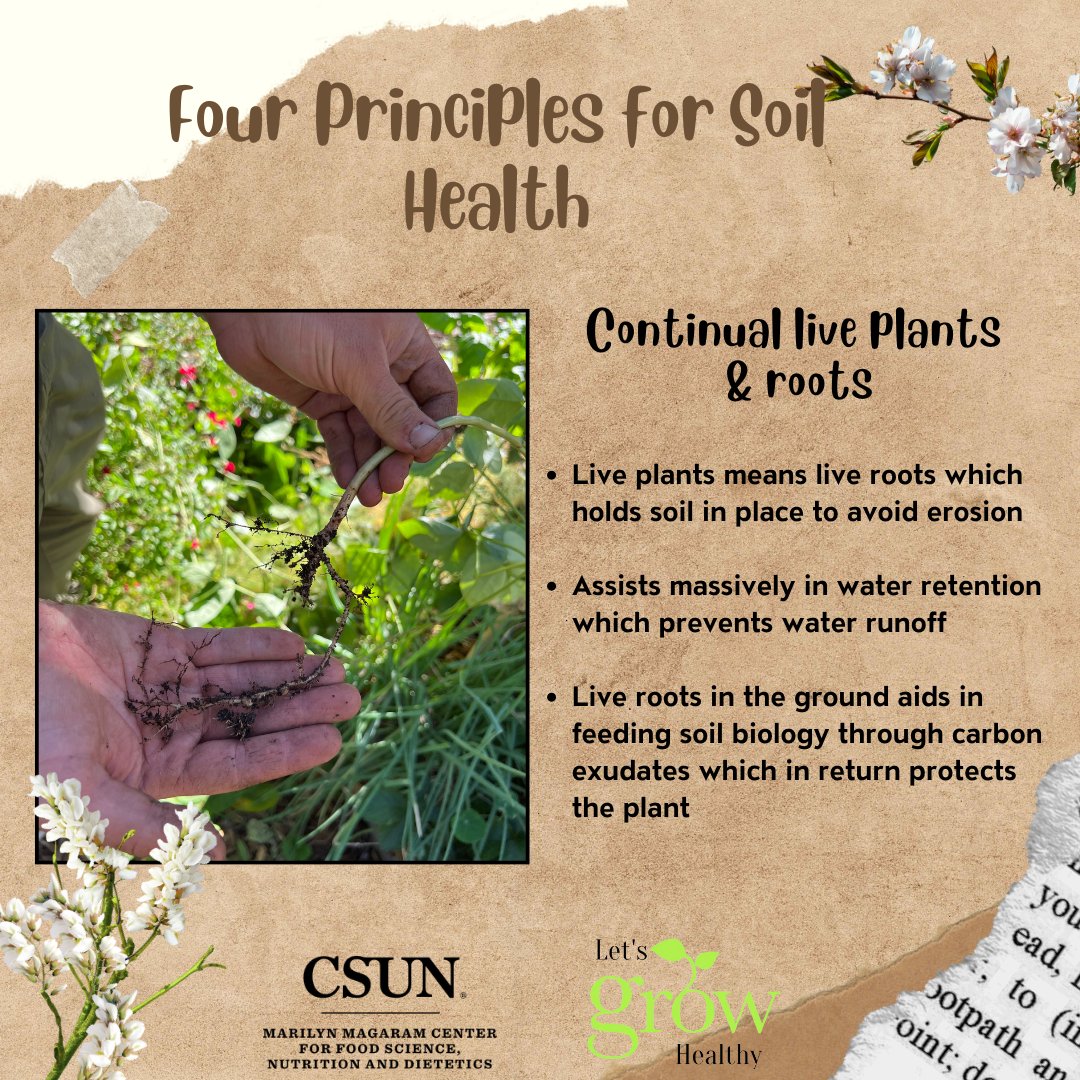 Our MMC Let's Grow Healthy team is gearing up for the Fall 2023 Healthy Growers Training and sharing information about the four principles of soil health. Slide through each post for more information. If you have garden-related questions, visit our "Ask a Master Garden" page.