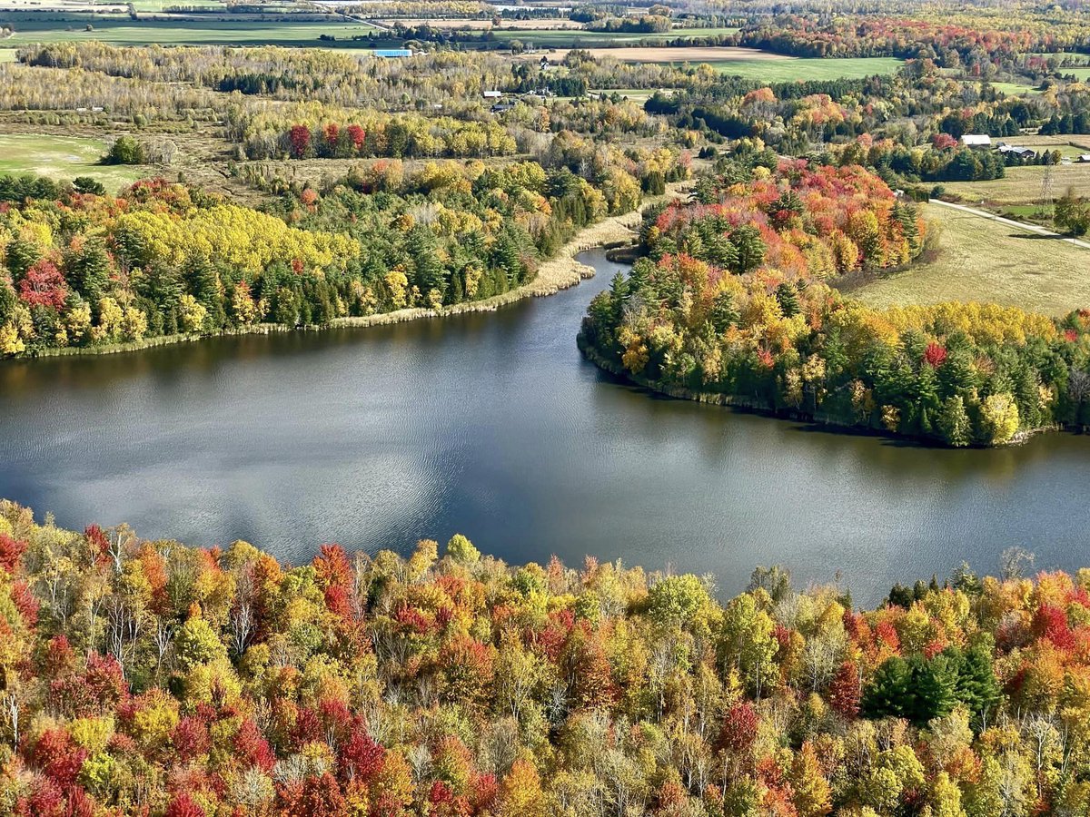 LakeSimcoeLife's tweet photo. Look at those fall colours....... Black River, Baldwin Ontario. There are 35 rivers that flow into our lake. #LakeSimcoe #BlackRiver #watersheds #rivers #fallcolors #OnGreenbelt #MapleTrees https://t.co/gqIdKt4ZJN